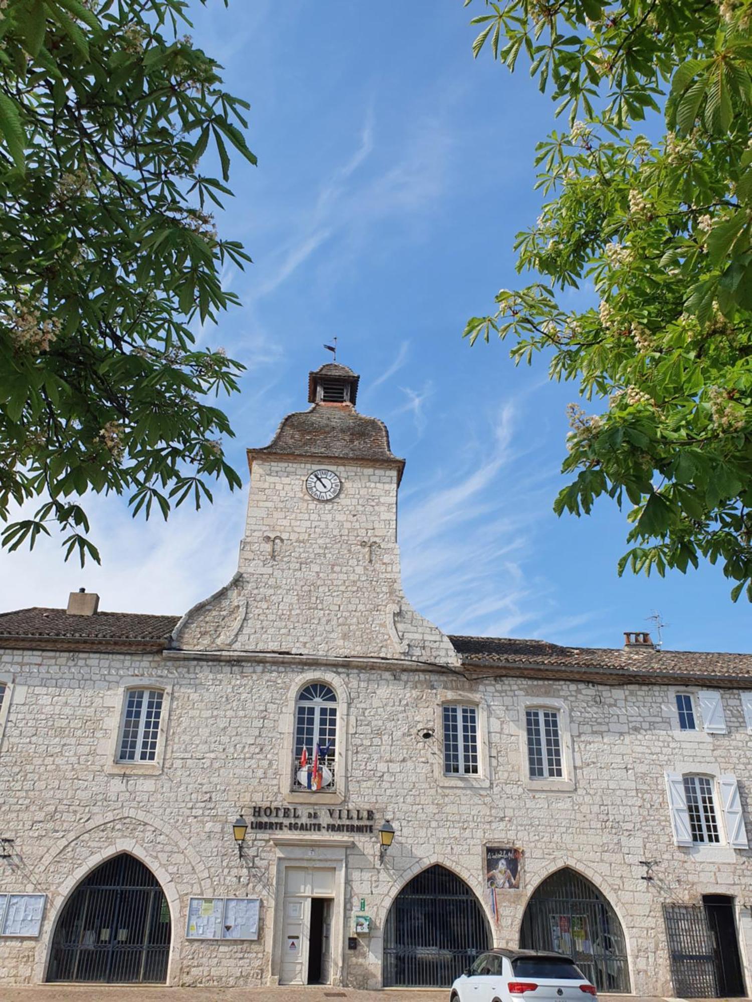 Bed and Breakfast La Cour Saint Louis Castelnau-Montratier Екстер'єр фото